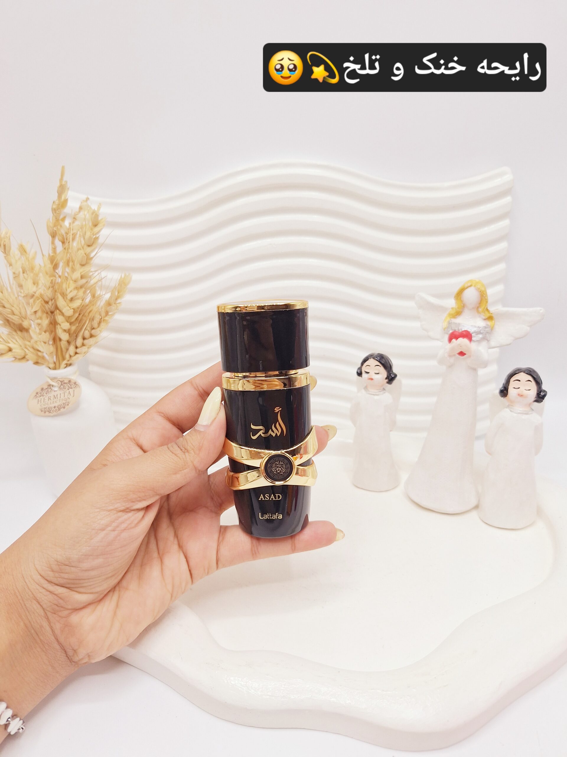 ادکلن مردانه (مشکی) اسد کد 1582