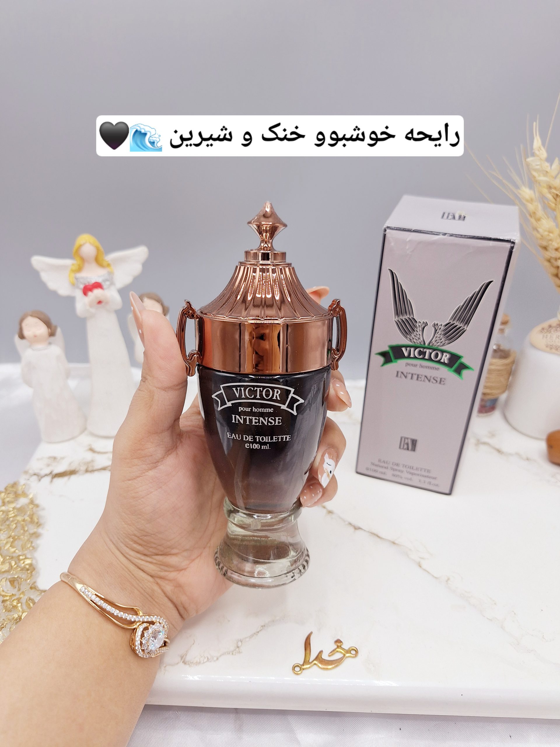 ادکلن مردانه ویکتور 100ml VICTOR کد BN_17166