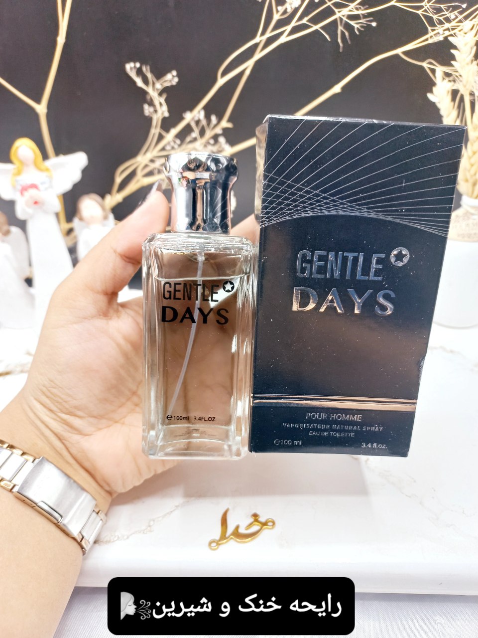 ادکلن مردانه GENTLE DAYS حجم 100ML کد 8477