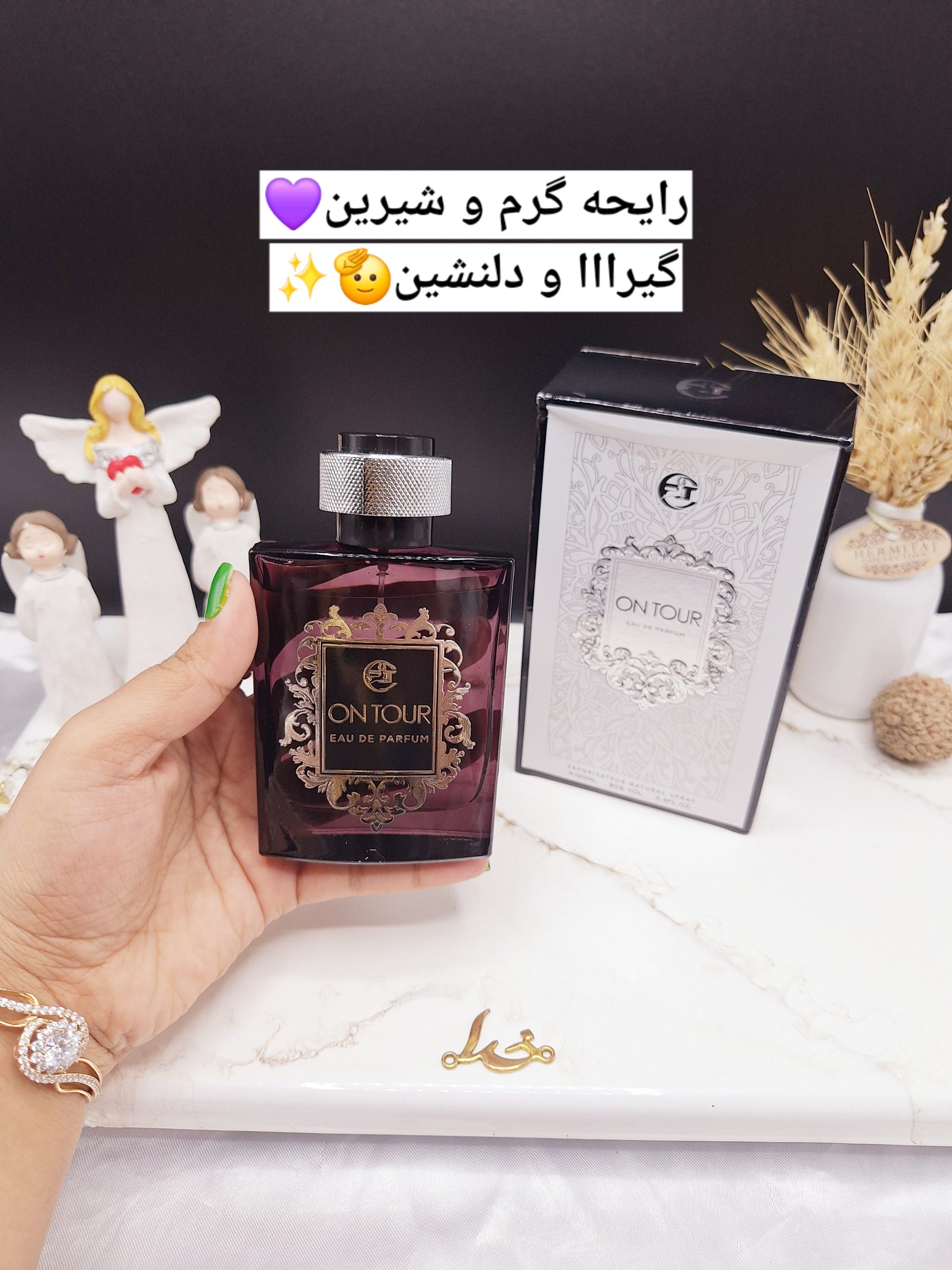 ادکلن خوشبو برند ON TOUR حجم 100ml کد 6531