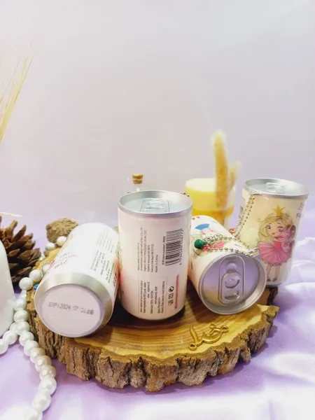 دستمال مرطوب قوطی دایره ای طرح دختر پرنس وارداتی و باکیفیت کد F022